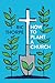 How to plant a church by Ric Thorpe
