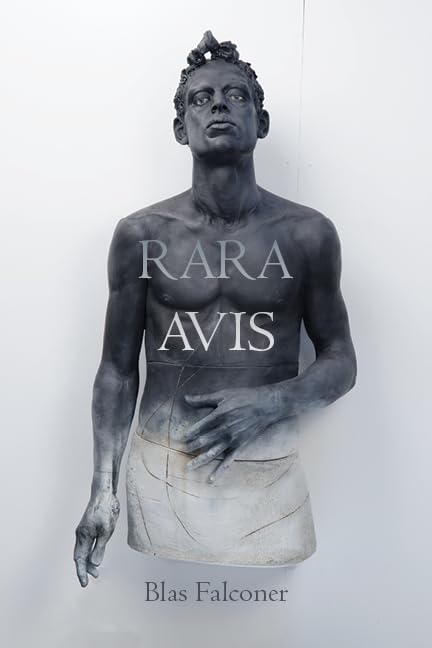 Rara Avis (Paperback)