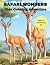 SAFARI WONDERS Kids Colorin...