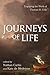 Journeys of Life by Nathan Carlin