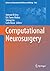 Computational Neurosurgery by Antonio Di Ieva