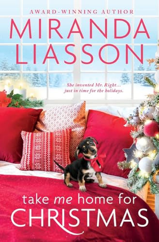 Take Me Home for Christmas (The Amazing Doctors of Oak Bluff #1)