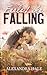 Feels Like Falling (Blackstone Falls #1)