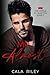 Mr. Almost (The Kings of Boston #1)