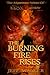 The Burning Fire Rises (Part One): The Mysterious World of Professor Darkk and Miss Shadow: Book One