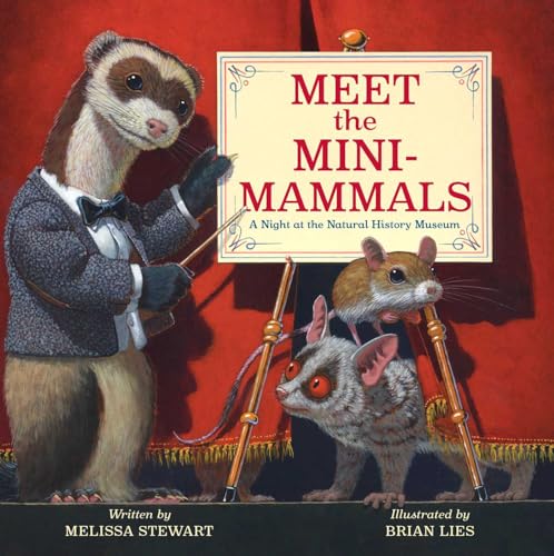 Meet the Mini-Mammals: A Night at the Natural History Museum (Hardcover)