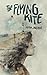 The Flying Kite