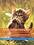 Kittens and Cats Coloring B...