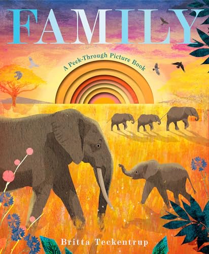 Family: A Peek-Through Picture Book (Hardcover)
