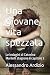 Una giovane vita spezzata: ...