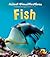 Fish (Animal Classifications)