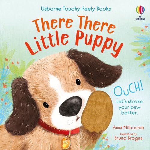 There There Little Puppy: An Adorable Sensory Book About Care for Babies and Toddlers (Usborne Touchy Feely Books)