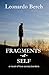 Fragments of Self: a novel of love across borders