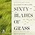 Sixty Blades of Grass by Elizabeth Millane