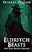 Eldritch Beasts: The Last Witch Hunter (Eldritch Beasts Series)
