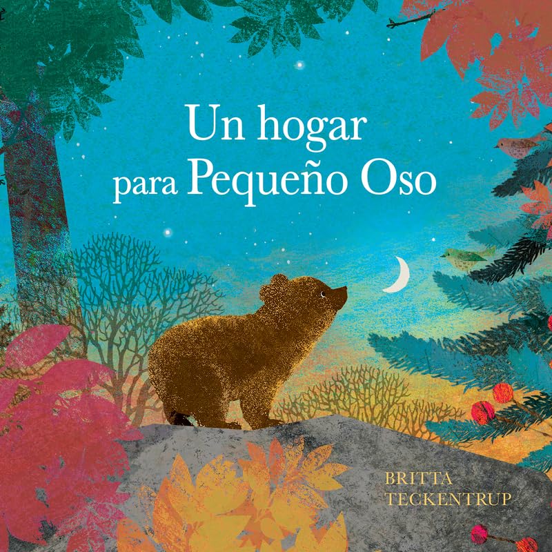 Un hogar para pequeño Oso (Hardcover)