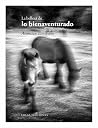 La belleza de lo ...