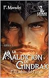 La Maldición de Gindrax: el Ladrón del Fuego: Fantasia, dragones y magia (La Estirpe Dorada) (Spanish Edition)