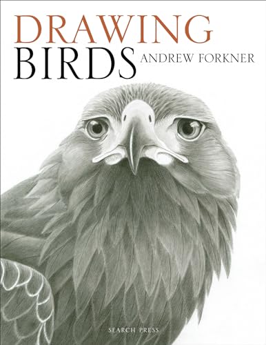 Drawing Birds (Kindle Edition)