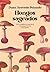 Hongos sagrados: De la sabiduría ancestral a la ciencia de las microdosis (Spanish Edition)