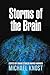Storms of the Brain by Rock Riley