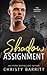 Shadow Assignment (Shadow Agency)