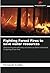 Fighting Forest Fires to save water resources by Fernando Coelho