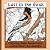 Lost In The Birds Coloring ...
