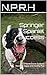 Springer Spaniel Success: A...