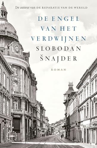 De engel van het verdwijnen (Kindle Edition)