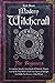 Modern Witchcraft For Begin...