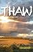 Thaw (THAW Series by Lisa A...