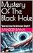 Mystery Of The Black Hole: ...