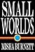 Small Worlds