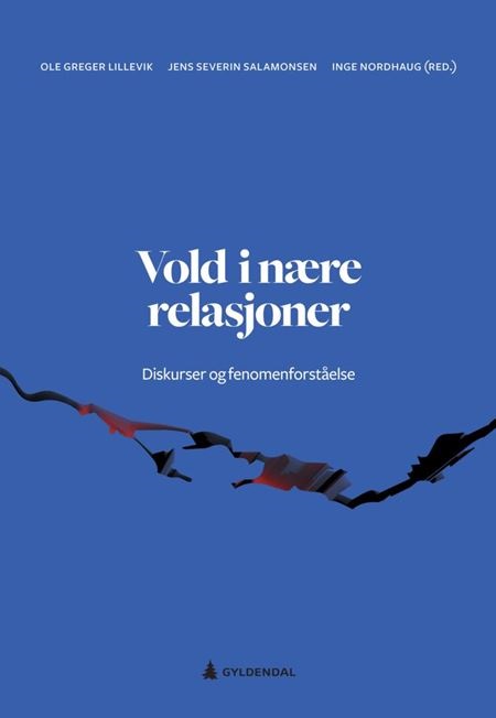 Vold i nære relasjoner (Paperback)