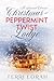 A Second Chance Christmas at Peppermint Twist Lodge by Terri Lorah