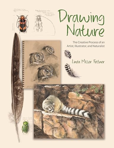 Drawing Nature: The Creative Process of an Artist, Illustrator, and Naturalist (Hardcover)