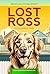 Lost Ross: Decodable Book for Striving Readers and Kids with Dyslexia