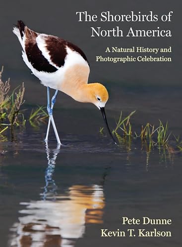 The Shorebirds of North America: A Natural History and Photographic Celebration (Hardcover)