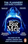 Big Meg: The Stor...