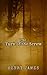 The Turn of the Screw: A Gothic Horror