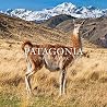 Patagonia Nationa...