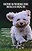 Home Is Where The Rescue Dog Is by Taylor Adams