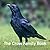 The Crow Family Book (The N...