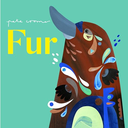 Fur (Board Book)