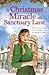 A Christmas Miracle on Sanctuary Lane (2)