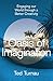 Oasis of Imagination: Engaging our World through a Better Creativity