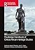 Routledge Handbook of Criti...