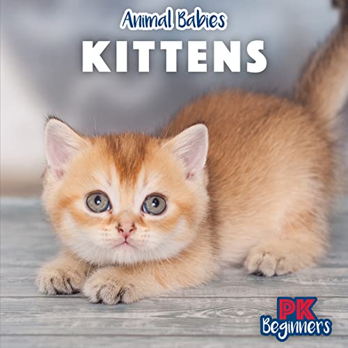 Kittens (Animal Babies)