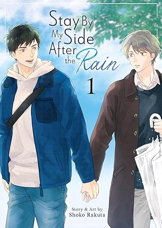 Stay By My Side After the Rain, Vol. 1